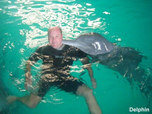 Frank & Dolphin